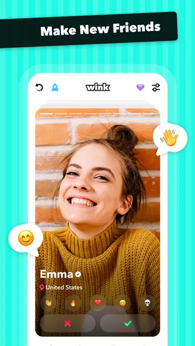 Wink screenshot 1