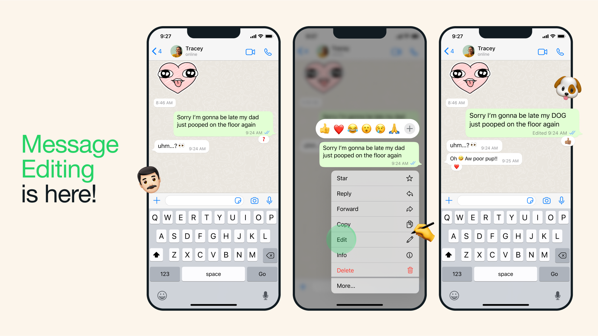 edit your WhatsApp messages